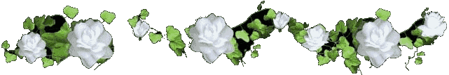 anyaflower202.gif