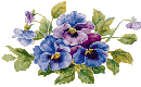 anyaflower398.gif
