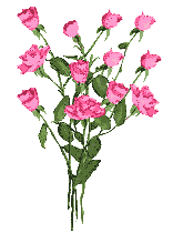 anyaflower490.gif