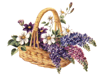 anyaflower64.gif