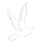 dovve5.gif
