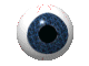 eye.gif
