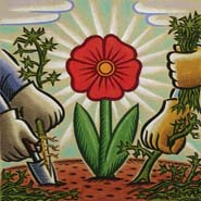 flower.jpg