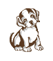 img13.gif
