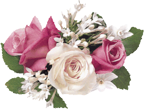 roses_motion_blur.jpg